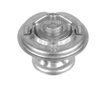 Термостат, охлаждающая жидкость SWAG купить